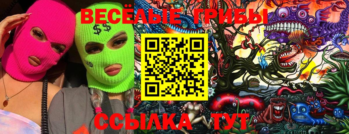 Псилоцибиновые грибы MAGIC MUSHROOMS  Псилоцибиновые грибы MAGIC MUSHROOMS  Лысьва  Вход с VPN 